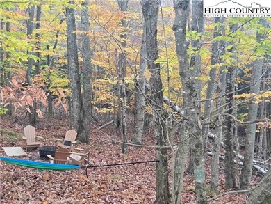 CURRENT BEECH MOUNTAIN CLUB INCLUDED on this gentle slope easy on Beech Mountain Club in North Carolina - for sale on GolfHomes.com, golf home, golf lot
