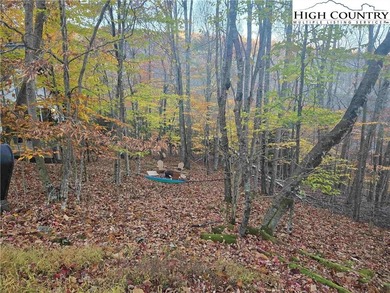 CURRENT BEECH MOUNTAIN CLUB INCLUDED on this gentle slope easy on Beech Mountain Club in North Carolina - for sale on GolfHomes.com, golf home, golf lot