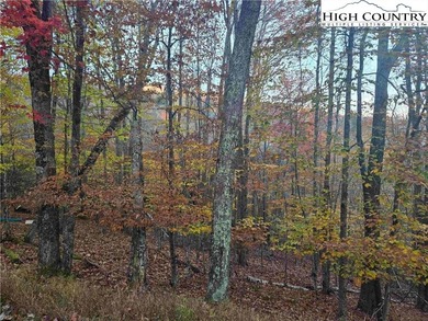 CURRENT BEECH MOUNTAIN CLUB INCLUDED on this gentle slope easy on Beech Mountain Club in North Carolina - for sale on GolfHomes.com, golf home, golf lot