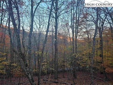 CURRENT BEECH MOUNTAIN CLUB INCLUDED on this gentle slope easy on Beech Mountain Club in North Carolina - for sale on GolfHomes.com, golf home, golf lot