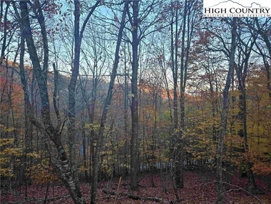CURRENT BEECH MOUNTAIN CLUB INCLUDED on this gentle slope easy on Beech Mountain Club in North Carolina - for sale on GolfHomes.com, golf home, golf lot