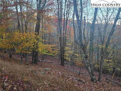 CURRENT BEECH MOUNTAIN CLUB INCLUDED on this gentle slope easy on Beech Mountain Club in North Carolina - for sale on GolfHomes.com, golf home, golf lot