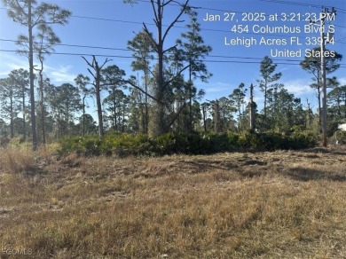 Don't miss this opportunity to own a residential lot. Nestled in on Mirror Lakes Golf Club in Florida - for sale on GolfHomes.com, golf home, golf lot