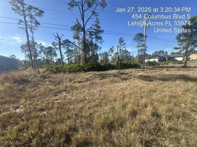 Don't miss this opportunity to own a residential lot. Nestled in on Mirror Lakes Golf Club in Florida - for sale on GolfHomes.com, golf home, golf lot