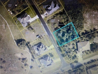 Excellent 1/3 acre estate homesite on the former Mirror Lakes on Mirror Lakes Golf Club in Florida - for sale on GolfHomes.com, golf home, golf lot