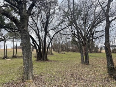 Incredible golf course frontage lot in Brock ISD's Canyon West on Canyon West Golf Club in Texas - for sale on GolfHomes.com, golf home, golf lot