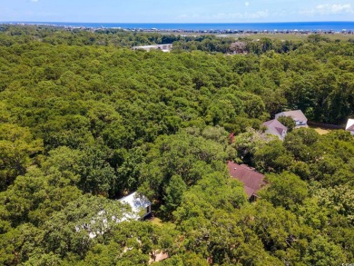 Nestled amidst the tranquil coastal beauty of Pawleys Island, SC on True Blue Plantation in South Carolina - for sale on GolfHomes.com, golf home, golf lot