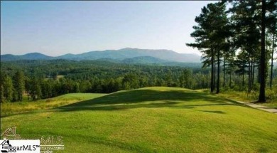 CALL Carol Sherman  The agent who lives in Cherokee Valley for on The Clubs at Cherokee Valley Golf Course in South Carolina - for sale on GolfHomes.com, golf home, golf lot