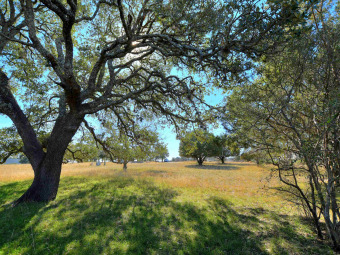 GOLF COURSE Lot on hole #13 is ready for your dream home!! Come on Legends in Texas - for sale on GolfHomes.com, golf home, golf lot