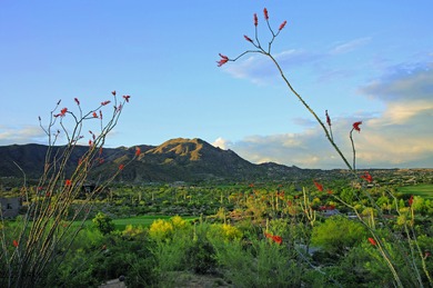 GOLF MEMBERSHIP available! lPrepare to be enchanted by this on Desert Mountain Golf Club - Renegade Course in Arizona - for sale on GolfHomes.com, golf home, golf lot