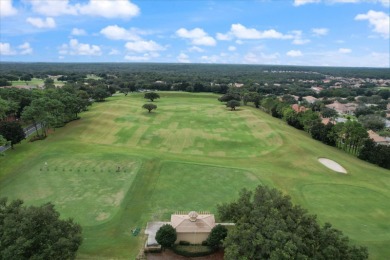 Golf Course View Home in Terra Vista - Modern Elegance & on Skyview At Terra Vista Golf and Country Club in Florida - for sale on GolfHomes.com, golf home, golf lot