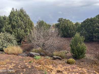 Golf Course Building Lot with all utility connections at the lot on Juniper Ridge R.V. Golf Resort in Arizona - for sale on GolfHomes.com, golf home, golf lot