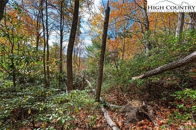 Come build your dream mountain retreat! This gentle sloping on Beech Mountain Club in North Carolina - for sale on GolfHomes.com, golf home, golf lot