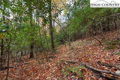 Come build your dream mountain retreat! This gentle sloping on Beech Mountain Club in North Carolina - for sale on GolfHomes.com, golf home, golf lot