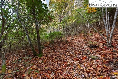 Come build your dream mountain retreat! This gentle sloping on Beech Mountain Club in North Carolina - for sale on GolfHomes.com, golf home, golf lot