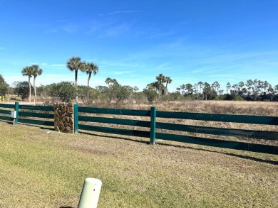 COME LOOK AT THIS UPDATED 2-BEDROOM, 1.5-BATHROOM HOME IN on Anglers Green Golf Course in Florida - for sale on GolfHomes.com, golf home, golf lot