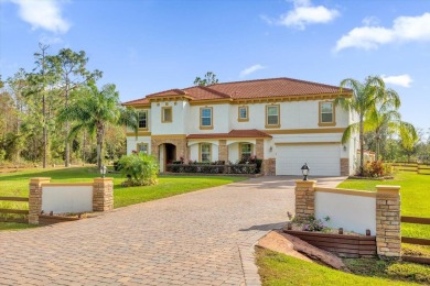 Welcome to this stunning home nestled in the highly sought-after on Wedgefield Golf Club in Florida - for sale on GolfHomes.com, golf home, golf lot