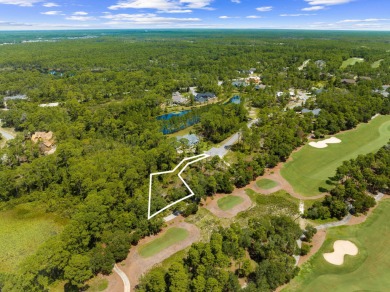 Inside the private, gated Wild Heron community, this stunning 0 on Sharks Tooth Golf Club in Florida - for sale on GolfHomes.com, golf home, golf lot