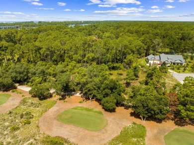 Inside the private, gated Wild Heron community, this stunning 0 on Sharks Tooth Golf Club in Florida - for sale on GolfHomes.com, golf home, golf lot