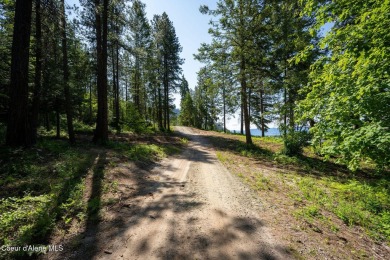 Breathtaking views of the Green Monarchs, Pack River Delta, Lake on The Idaho Club in Idaho - for sale on GolfHomes.com, golf home, golf lot