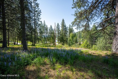 Breathtaking views of the Green Monarchs, Pack River Delta, Lake on The Idaho Club in Idaho - for sale on GolfHomes.com, golf home, golf lot
