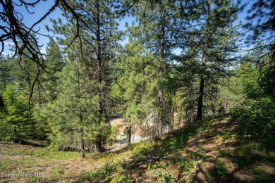 Breathtaking views of the Green Monarchs, Pack River Delta, Lake on The Idaho Club in Idaho - for sale on GolfHomes.com, golf home, golf lot