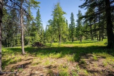 Breathtaking views of the Green Monarchs, Pack River Delta, Lake on The Idaho Club in Idaho - for sale on GolfHomes.com, golf home, golf lot