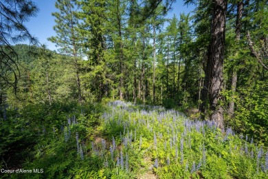 Breathtaking views of the Green Monarchs, Pack River Delta, Lake on The Idaho Club in Idaho - for sale on GolfHomes.com, golf home, golf lot