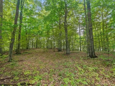 Seize the opportunity to create your perfect home on a stunning on Champion Hill Golf Club in Michigan - for sale on GolfHomes.com, golf home, golf lot