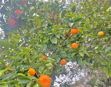 Newly remodeled 6 Bedroom, 6 bath (4 full 2 half) Rancho San on Cottonwood Golf Club in California - for sale on GolfHomes.com, golf home, golf lot