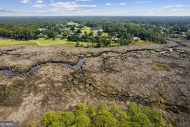 One of the last remaining marsh front lots in Osprey Cove! Lot on The Club At Osprey Cove in Georgia - for sale on GolfHomes.com, golf home, golf lot