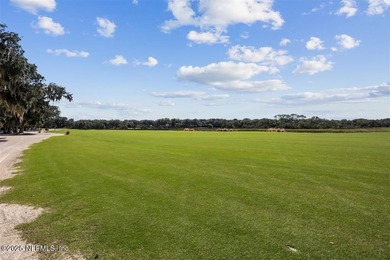 Enjoy sweeping views of the newly renovated Oak Marsh Golf on Amelia Island Plantation - Oakmarsh in Florida - for sale on GolfHomes.com, golf home, golf lot