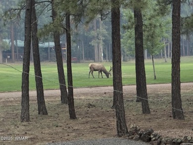 COMPLETELY REMODELED AND TURN KEY! Just bring your clothes and on Pinetop Lakes Country Club in Arizona - for sale on GolfHomes.com, golf home, golf lot