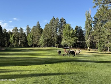 COMPLETELY REMODELED AND TURN KEY! Just bring your clothes and on Pinetop Lakes Country Club in Arizona - for sale on GolfHomes.com, golf home, golf lot