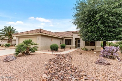 Nicely updated MADERA! Their Pride is Your Joy! Exterior painted on Desert Springs Golf Course in Arizona - for sale on GolfHomes.com, golf home, golf lot