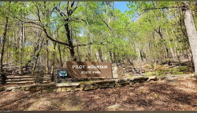 WHAT A GREAT OPPORTUNITY TO BUY LAND WITH POTENTIAL MOUNTAIN on Pilot Knob Park Country Club in North Carolina - for sale on GolfHomes.com, golf home, golf lot