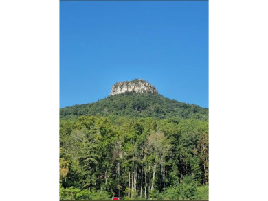 WHAT A GREAT OPPORTUNITY TO BUY LAND WITH POTENTIAL MOUNTAIN on Pilot Knob Park Country Club in North Carolina - for sale on GolfHomes.com, golf home, golf lot