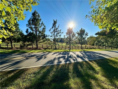 WHAT A GREAT OPPORTUNITY TO BUY LAND WITH POTENTIAL MOUNTAIN on Pilot Knob Park Country Club in North Carolina - for sale on GolfHomes.com, golf home, golf lot