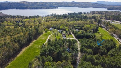 Fantastic corner lot just waiting for the new owner to build on Province Lake Golf in Maine - for sale on GolfHomes.com, golf home, golf lot