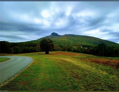 WHAT A GREAT OPPORTUNITY TO BUY LAND WITH POTENTIAL MOUNTAIN on Pilot Knob Park Country Club in North Carolina - for sale on GolfHomes.com, golf home, golf lot