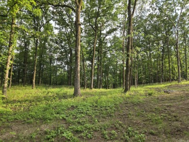 PRICED TO SELL! This property sounds absolutely fantastic! With on Diamondhead Golf and Country Club in Arkansas - for sale on GolfHomes.com, golf home, golf lot