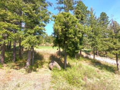 GOLF AND LAKE VIEW LOT READY TO GO AT PRESTIGIOUS BLACK ROCK on The Golf Club at Black Rock in Idaho - for sale on GolfHomes.com, golf home, golf lot