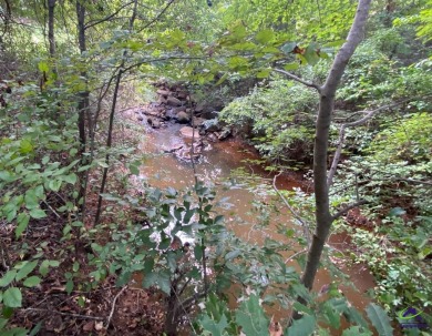 Nestled in The Cliffs at River Forest with a stream that feeds on The Club River Forest in Georgia - for sale on GolfHomes.com, golf home, golf lot