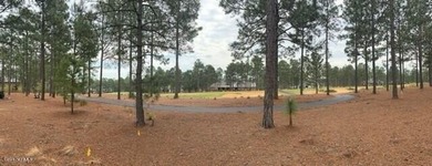 Beautiful golf front Village Home lot with views of the 13th on Forest Creek Golf Club  in North Carolina - for sale on GolfHomes.com, golf home, golf lot