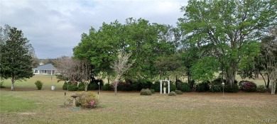 Citrus Hills Oasis: A Custom-Built Sanctuary on a Private Acre on Citrus Hills Golf Club in Florida - for sale on GolfHomes.com, golf home, golf lot