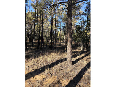 Gorgeous lot in a quiet cul-de-sac in the Trailhead section of on Torreon Golf Club in Arizona - for sale on GolfHomes.com, golf home, golf lot