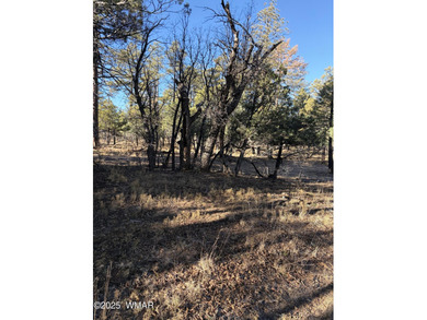 Gorgeous lot in a quiet cul-de-sac in the Trailhead section of on Torreon Golf Club in Arizona - for sale on GolfHomes.com, golf home, golf lot