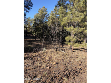 Gorgeous lot in a quiet cul-de-sac in the Trailhead section of on Torreon Golf Club in Arizona - for sale on GolfHomes.com, golf home, golf lot