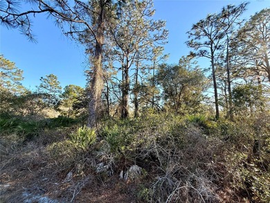 Build Your Dream Home in a Gated Golf & Lakefront Community! on Indian Lake Estates Golf and Country Club in Florida - for sale on GolfHomes.com, golf home, golf lot