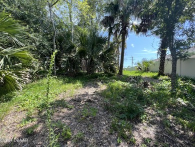 WOW !!! Saltwater homesite in Sailboat Country. High and dry on Palm Harbor Golf Club in Florida - for sale on GolfHomes.com, golf home, golf lot